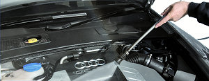 BEST Service - die reinste Freude